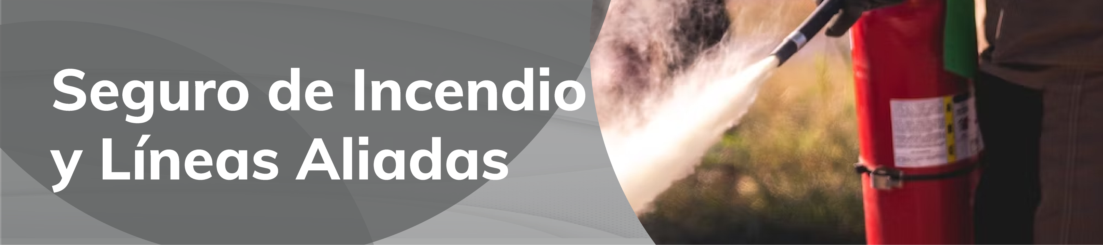 Seguro de Incendio y Líneas Aliadas
